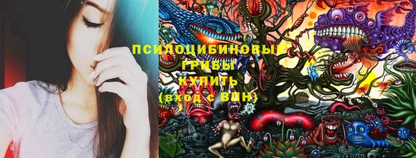 прущая мука Алзамай