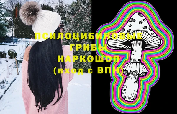 твердый Алексин