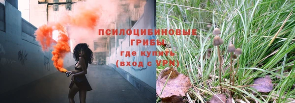 прущая мука Алзамай