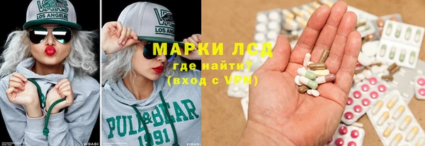 сатива Инсар