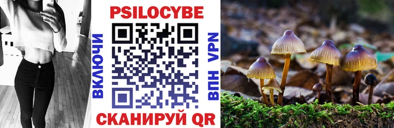 Галлюциногенные грибы Psilocybine cubensis  как найти закладки  Нефтекамск 